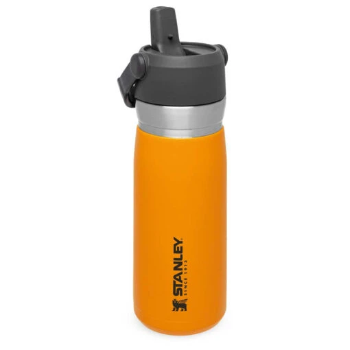 Stanley - Iceflow Flip Straw Water Bottle - Bouteille Isotherme -Camping Équipement Boutique stanley iceflow flip straw water bottle bouteille isotherme detail 2